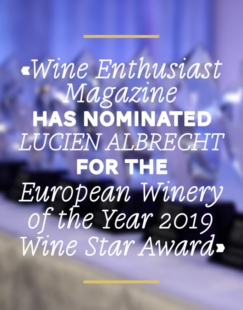 Wine Enthusiast Magazine has nominated Lucien Albrecht for the European Winery of the Year 2019 Wine Star Awards